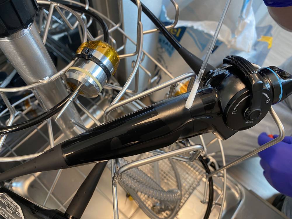 Endoscope à La Bruyère